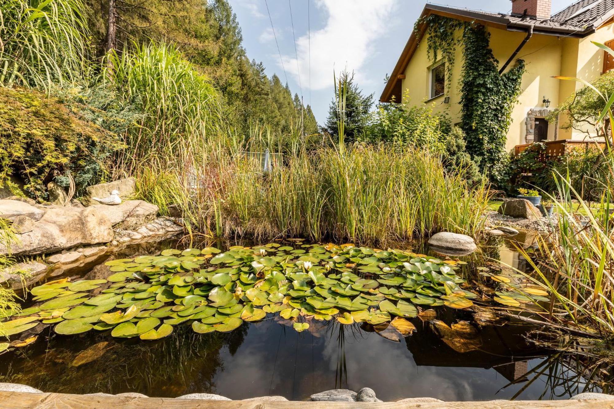 Apartamenty Zielona Owieczka Burg Niedzica Exterior foto