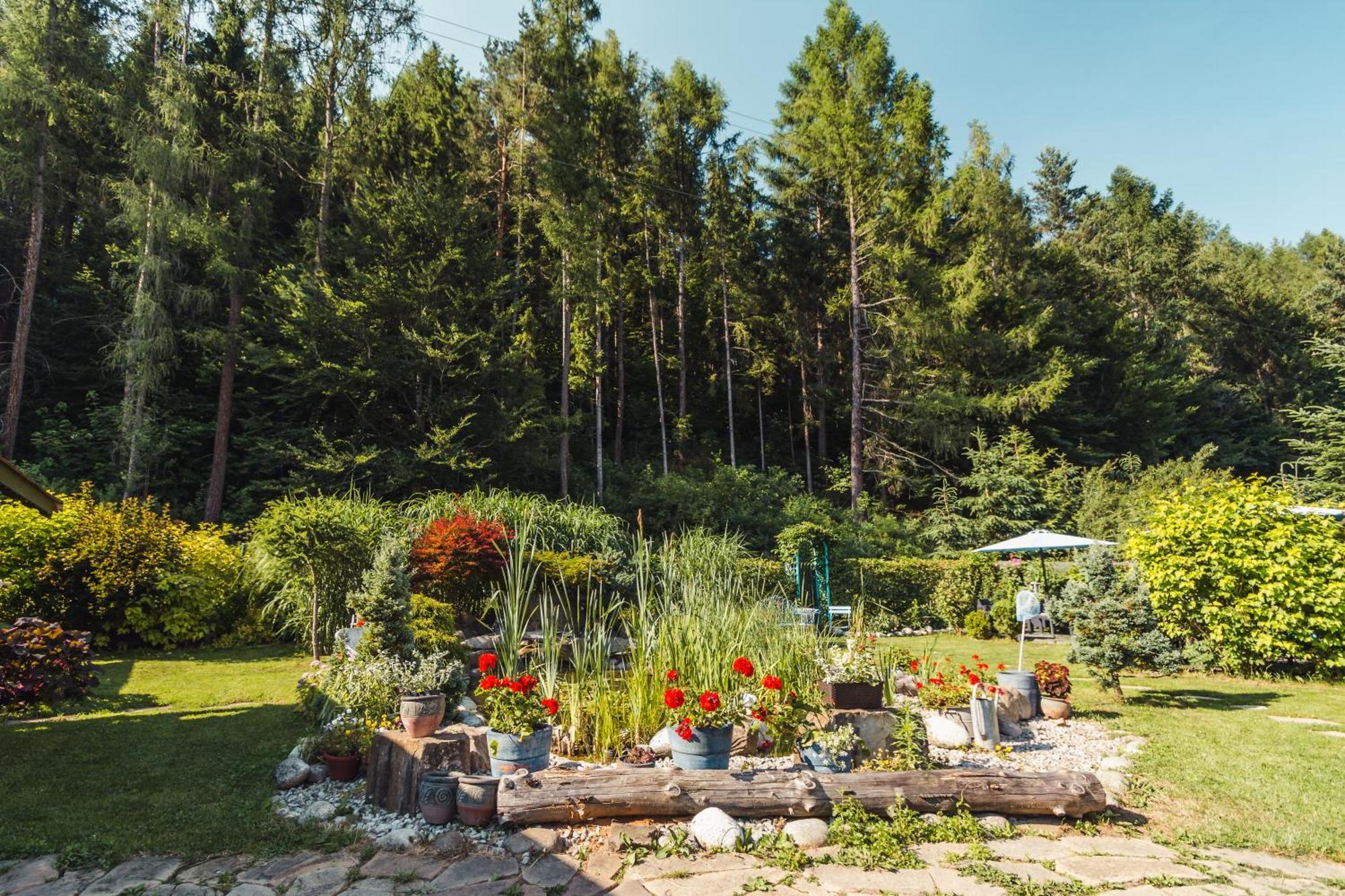 Apartamenty Zielona Owieczka Burg Niedzica Exterior foto