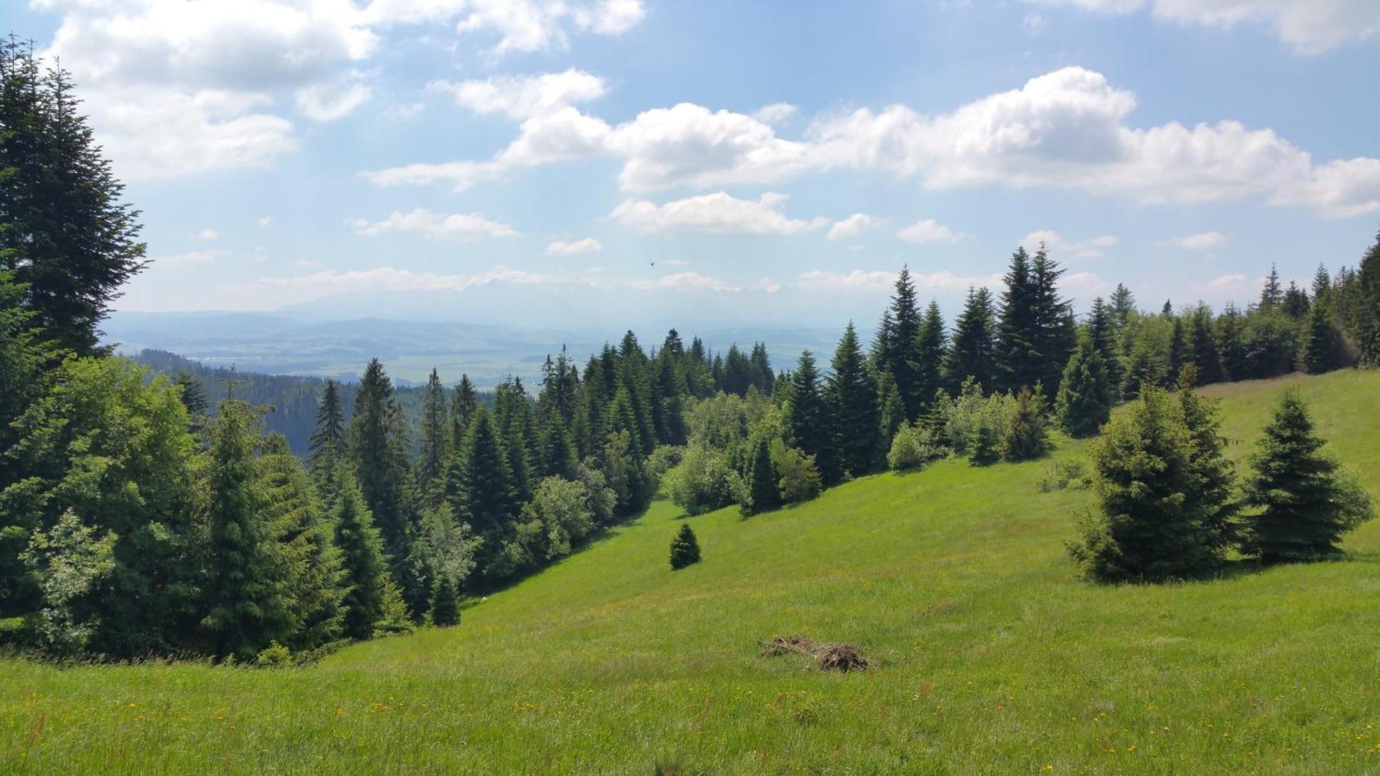 Apartamenty Zielona Owieczka Burg Niedzica Exterior foto